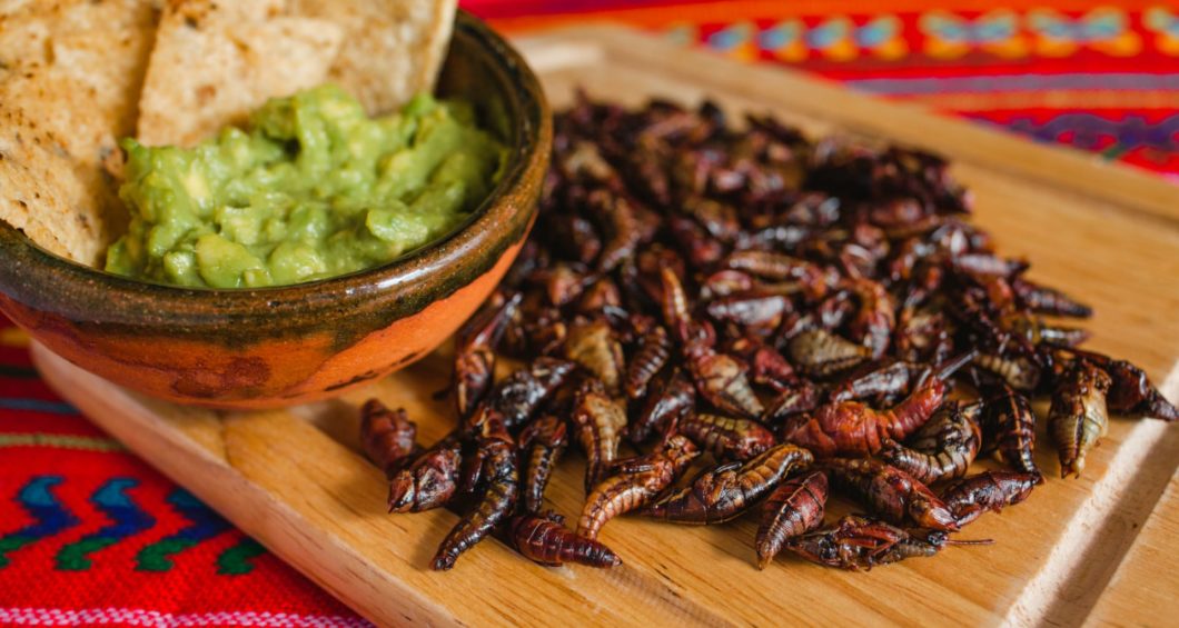 Rostade gräshoppor (chapulines) med guacamole är ett populärt snack i den mexikanska regionen Oaxaca.